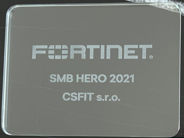 Obrázok ocenenia Fortnite SMB hero 2021